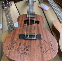 2 Cửa hàng chuyên bán đàn ukulele giá rẻ chất lượng quận Bình Tân