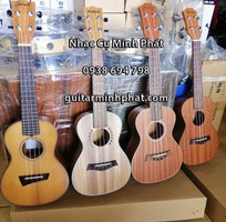 Cửa hàng chuyên bán đàn ukulele giá rẻ chất lượng quận Bình Tân