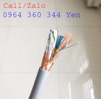 3 Cáp chống nhiễu Altek Kabel điện áp 300-500V