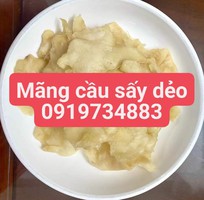 2 Xoài sấy dẻo và trái cây sấy dẻo