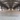 Cho thuê kho xưởng DT 4300m2 KCN Lương Sơn, Hòa Bình Cho thuê kho xưởng DT 4300m2 KCN Lương Sơn, Hòa Bình