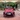 Gia đình cần bán chiếc xe ô tô Toyota Yarit 1.3 G sx 2015 màu đỏ 