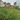 Lô đất cực đẹp   khu a golden hills   125m    đường 7m5  ...