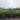 0.9ha đất đầu tư gd view sông   phan huy ích gò vấp s 