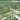 Cơ Hội Đầu Tư Vàng: Sở Hữu Ngay 220m Đất View Hồ Chỉ Với 780 Triệu Cơ Hội Đầu Tư Vàng: Sở Hữu Ngay 220m Đất View Hồ Chỉ Với 780 Triệu