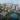 Gia đình cần bán nhanh căn hộ 3pn view hồ, dự án le grand jardin. vào ở ngay 