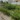 Đất vuông shr hxh né 110m2   thạnh xuân 13 quận 12 ss 