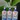 Gel phục hồi và làm mới nhựa xe oto 250ml- Sonax Xtreme Plastic Restorer Gel Gel phục hồi và làm mới nhựa xe oto 250ml- Sonax Xtreme Plastic Restorer Gel