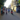 Bán nhà TÂN BÌNH , 4,3 x 11,  gần Bành Văn Trân, Chỉ 6.X TỶ 