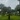 Mik phố nối ecopark thứ 2 phía đông hà nội Mik phố nối ecopark thứ 2 phía đông hà nội