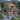 Bán villas chuẩn nghĩ dưỡng gần hồ ngọc bảo lộc - full nội thất chỉ 3 tỉ Bán villas chuẩn nghĩ dưỡng gần hồ ngọc bảo lộc - full nội thất chỉ 3 tỉ