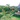 BÁN ĐẤT NGHỈ DƯỠNG View hồ bảo lộc BÁN ĐẤT NGHỈ DƯỠNG View hồ bảo lộc