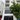 Cho thuê nhà nguyên căn mới 100 kđt khai sơn, phường bồ đề, hà nội Cho thuê nhà nguyên căn mới 100 kđt khai sơn, phường bồ đề, hà nội