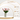 Lọ Hoa Gốm Trắng Mocroom Decor Phòng Ngủ Phòng Khách Tối Giản Lọ Hoa Gốm Trắng Mocroom Decor Phòng Ngủ Phòng Khách Tối Giản