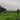 Chuyển nhượng trang trại MIA FARM GIA LAI 9,6 ha 380m Mặt tiền đường nhựa Chuyển nhượng trang trại MIA FARM GIA LAI 9,6 ha 380m Mặt tiền đường nhựa