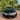TOYOTA VENZA 2009 giá 350 triệu xe gia đình giữ gìn 
