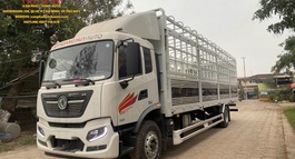 CẦN BÁN XE TẢI DONGFENG KR180 THÙNG DÀI 9M9 TẢI 7T8 HÀNG MỚI NHẤT 2025 NHẬP KHẨU