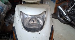 CAN BAN XE FORCE 125CM,
