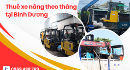 THUÊ XE NÂNG THEO THÁNG TẠI BÌNH DƯƠNG   GIÁ TỐT, GIAO TẬN NƠI
