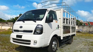 Xe tải 2,5 tấn KIA K250   2023 
