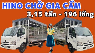 Xe Tải HINO 3.15 Tấn 196 Lồng Chở Gia Cầm Gà Vịt Trả Trước 200tr 