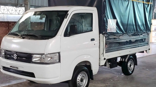 Suzuki Carry pro 