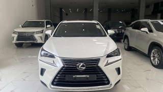 Chính chủ bán Lexus NX300 mode 2019, sơn zin cả xe, full lịch sử hãng 