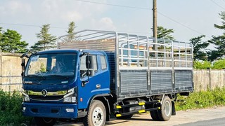 Xe tải Đồng Vàng 800, 8,5 tấn 