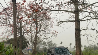 Chính chủ bán xe Vitara 2005 