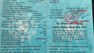 Bán xe FORD EVEREST 2023 Ambient   Chính chủ 