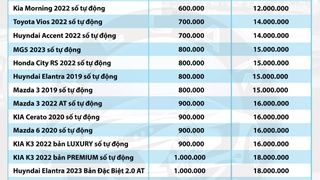 Cho thuê xe tự lái giá tốt tại TPHCM 