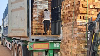 Dịch vụ đóng hàng vào container 