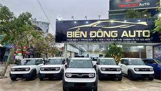 Bán VinFast VF3 New 2025   Chỉ 255 triệu, bao ra biển 