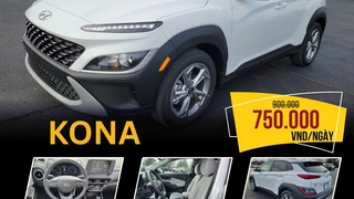 Thuê xe oto tự lái   có lái Da Nang Travel Car 