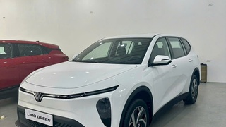 Bán Xe Limo Green   Xe Điện   Giá Ưu Đãi 