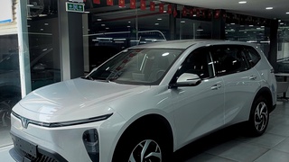 Vinfast Limo Green 2026  623 Triệu Nhận Xe Ngay 