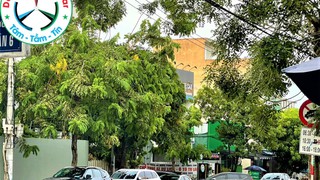 Cho thuê xe oto tự lái   có lái giá tốt Đà Nẵng 