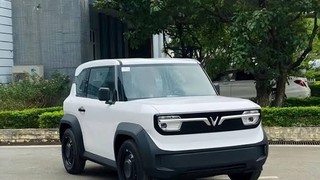 VF3 Econew 100 Vin2026 