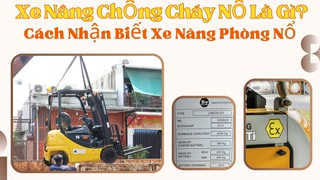 Xe Nâng Chống Cháy Nổ Là Gì  Cách Nhận Biết Xe Nâng Phòng Nổ 