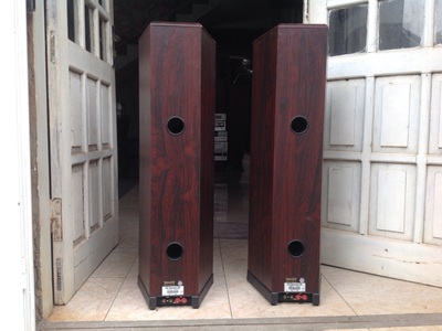 Loa Tannoy 638 Rosewood D80 3