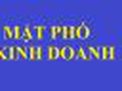 Cho thuê mặt phố Trần Duy Hưng 0