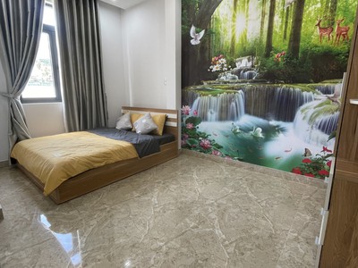 Bán Gấp Nhà Thanh Khê, Hà Huy Tập, Chỉ Hơn 4 Tỷ, ÔTÔ Tránh,Tặng NỘI THẤT VIP 3