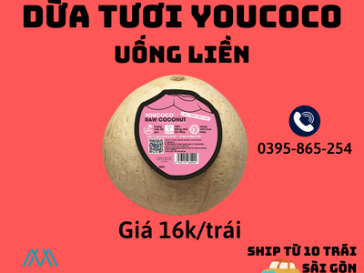 Xe độ 13 mời anh chị em mua sắm 245