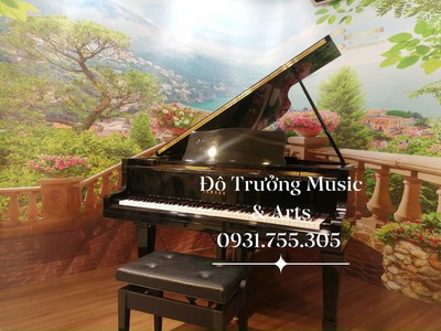 Cho thuê đàn Piano để tập đàn tại quận 6 2