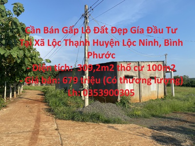 Xe độ 13 mời anh chị em mua sắm 5233