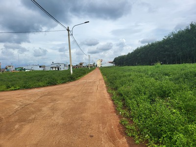 Bán đất kdc Phú Lộc, Krong Năng, Đăk Lăk , 900tr/132m2 thương lượng  bao phí và thuế 0