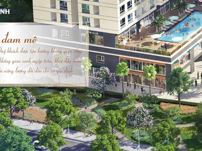 Bán shophouse goldora plaza từ cdt cạnh phú mỹ hưng giá tốt giá thấp nhất thị trường 1