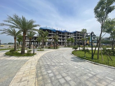 Chọn lô liền kề view công viên trường học. ngay cạnh vinhome ocean park. ck 6,5, htls 0 12 tháng. 2