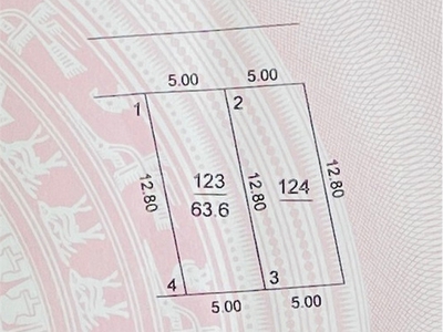 Bán đất 63.3m2 xóm đình, nguyên khê, 30m ra đường lê hữu tựu, cạnh khu sân chơi, cây xanh 4