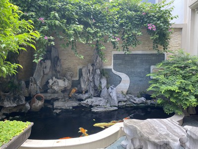 Cho thuê phòng trọ.chính chủ cho thuê 202